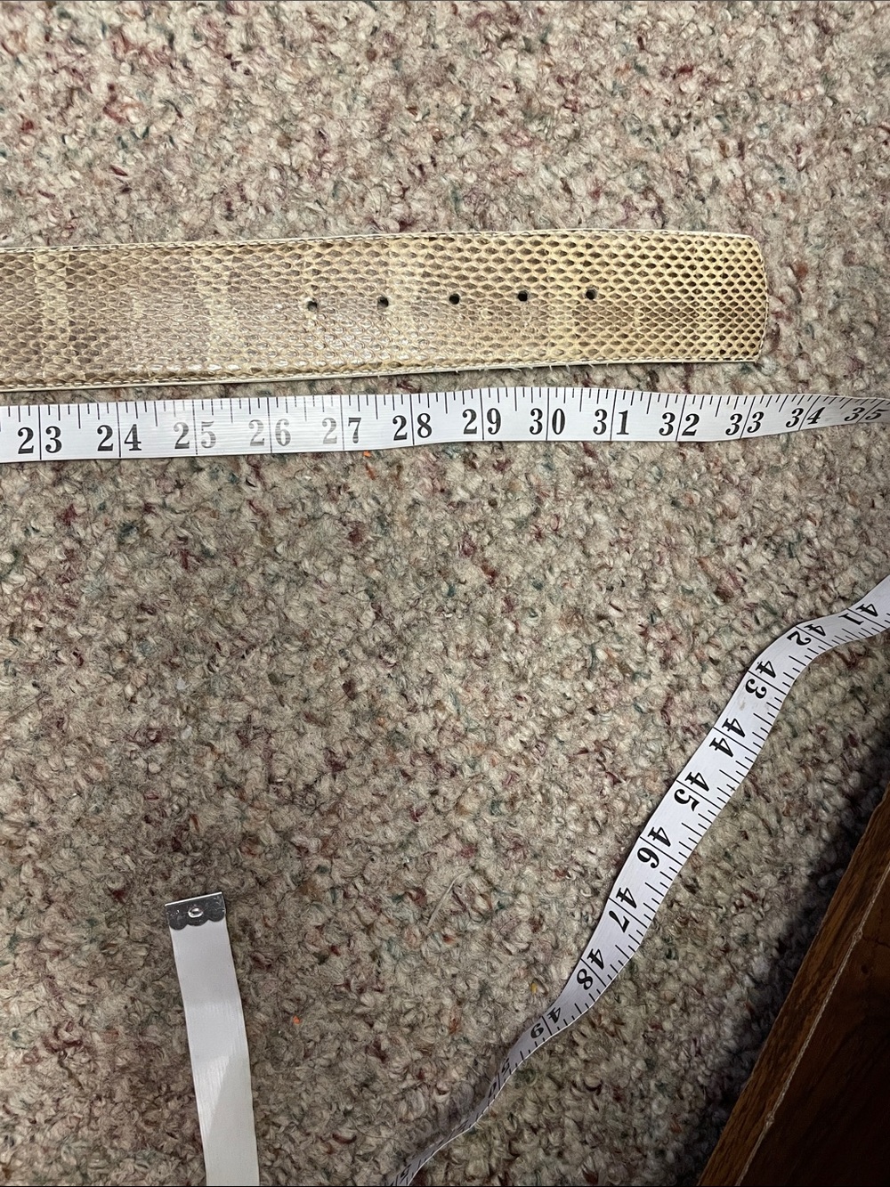 Genuine Snakeskin Wide Belt in Beige and Taupe- like new - Picture 4 of 5